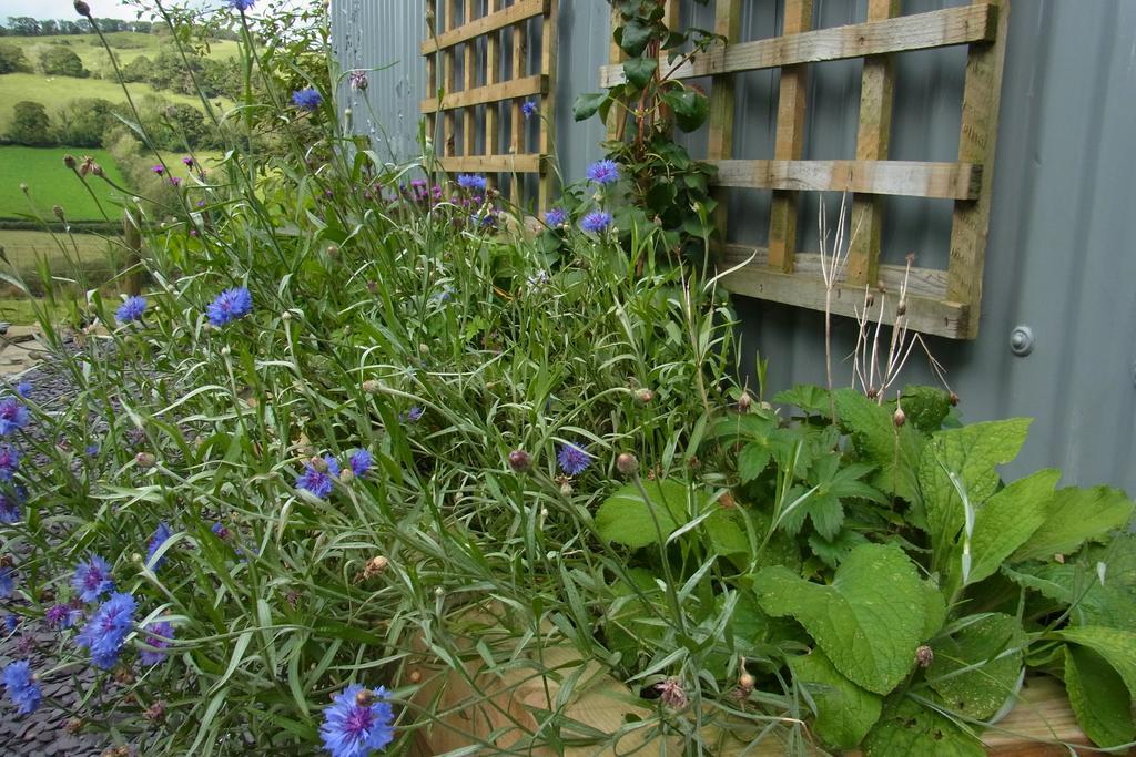 Rhiwiau Self Catering Villa Carmarthen Exterior foto